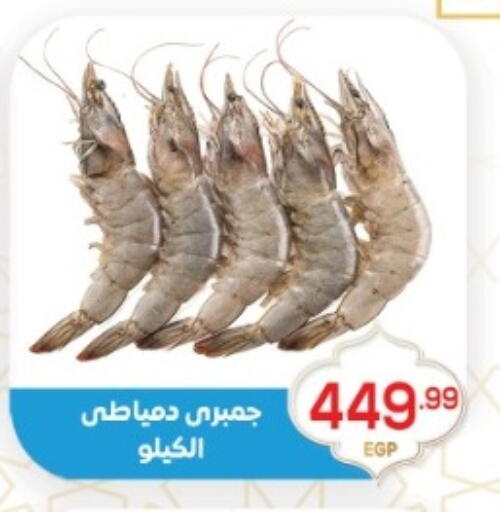 available at أولاد المحاوى in Egypt - القاهرة