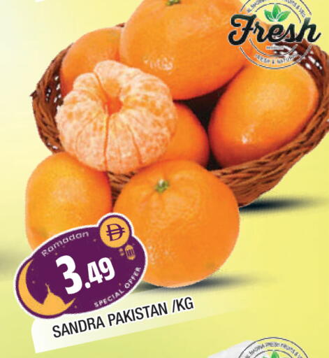 from Pakistan available at المدينة in الإمارات العربية المتحدة , الامارات - الشارقة / عجمان