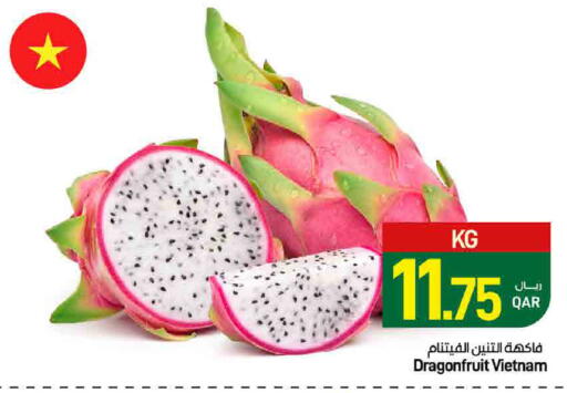 from Vietnam available at ســبــار in قطر - الريان