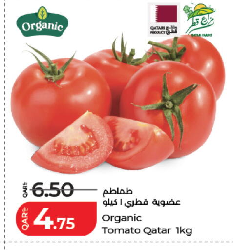 Tomato from Qatar available at لولو هايبرماركت in قطر - أم صلال