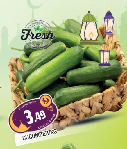 Cucumber available at المدينة in الإمارات العربية المتحدة , الامارات - الشارقة / عجمان