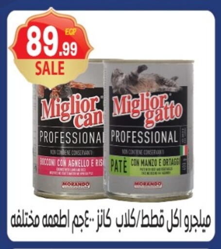 available at El mhallawy Sons in Egypt - Cairo
