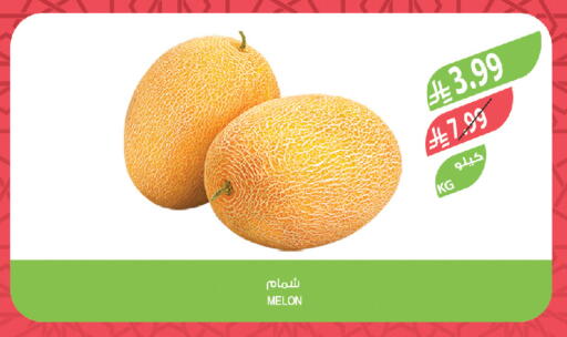 Melon available at Farm  in KSA, Saudi Arabia, Saudi - Abha