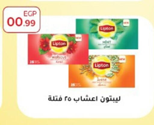 Mint available at أولاد المحاوى in Egypt - القاهرة