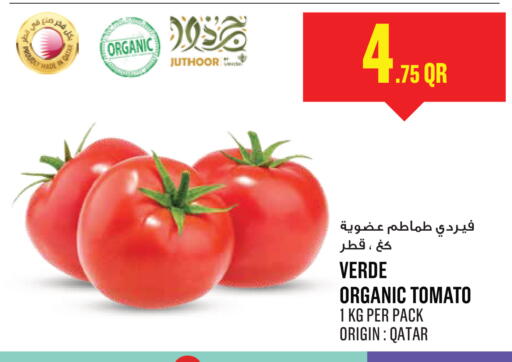 Tomato from Qatar available at مونوبريكس in قطر - الدوحة