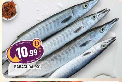 available at المدينة in الإمارات العربية المتحدة , الامارات - الشارقة / عجمان