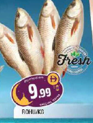 available at المدينة in الإمارات العربية المتحدة , الامارات - الشارقة / عجمان