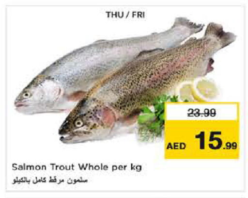 available at نستو هايبرماركت in الإمارات العربية المتحدة , الامارات - دبي