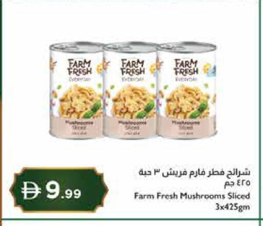 available at إسطنبول سوبرماركت in الإمارات العربية المتحدة , الامارات - دبي