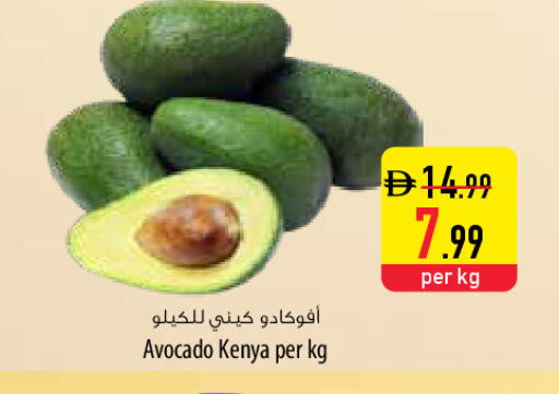Avocado from Kenya available at السفير ماركت in الإمارات العربية المتحدة , الامارات - دبي