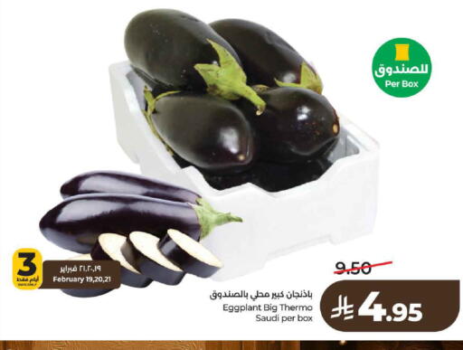 Eggplant from Saudi Arabia available at لولو هايبرماركت in مملكة العربية السعودية, السعودية, سعودية - حائل‎