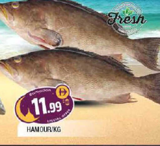 available at المدينة in الإمارات العربية المتحدة , الامارات - الشارقة / عجمان