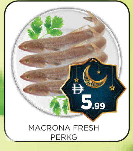 available at عين المدينة هايبرماركت in الإمارات العربية المتحدة , الامارات - الشارقة / عجمان