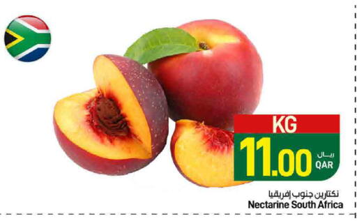 Nectarine from South Africa available at ســبــار in قطر - الريان