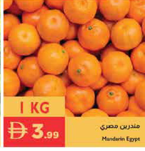 Mandarin from Egypt available at إسطنبول سوبرماركت in الإمارات العربية المتحدة , الامارات - دبي