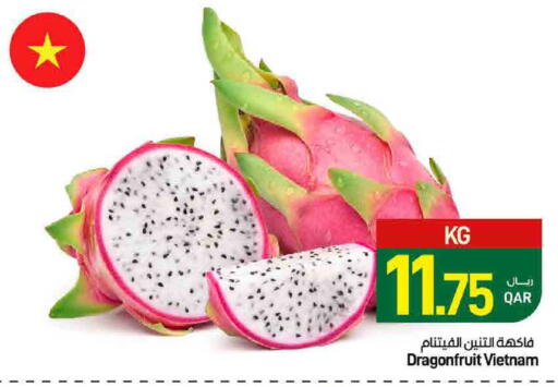 from Vietnam available at ســبــار in قطر - الريان