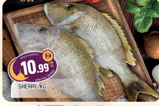 available at المدينة in الإمارات العربية المتحدة , الامارات - الشارقة / عجمان