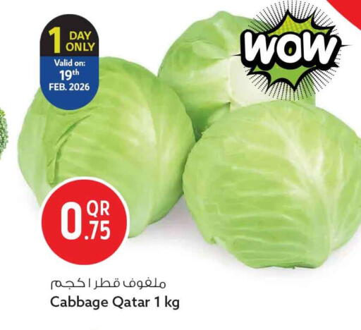 Cabbage from Qatar available at سفاري هايبر ماركت in قطر - الشحانية