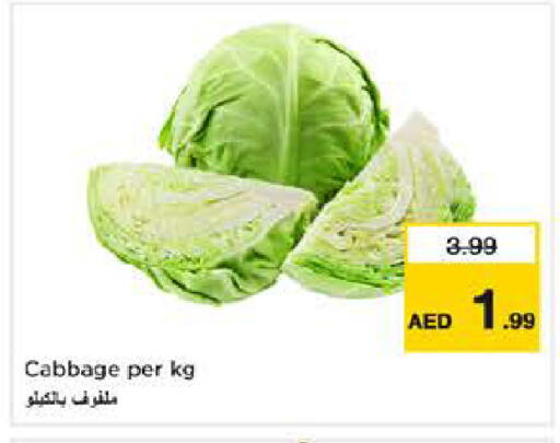 Cabbage available at نستو هايبرماركت in الإمارات العربية المتحدة , الامارات - دبي
