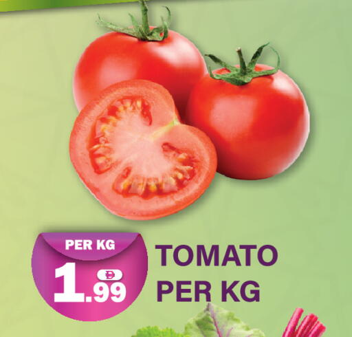 Tomato available at دريم لاند in الإمارات العربية المتحدة , الامارات - دبي