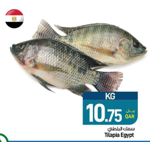 available at ســبــار in قطر - الريان