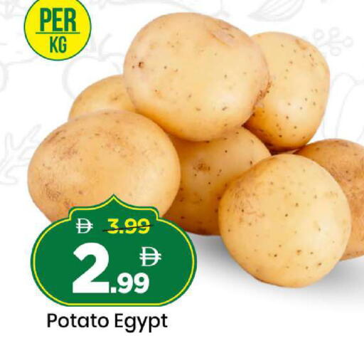 Potato from Egypt available at Mark & Save in UAE - Dubai