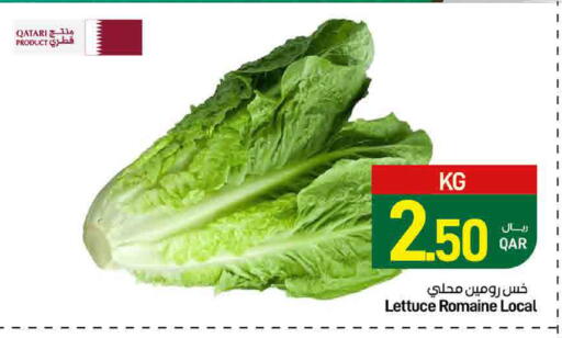 Lettuce from Qatar available at ســبــار in قطر - الريان