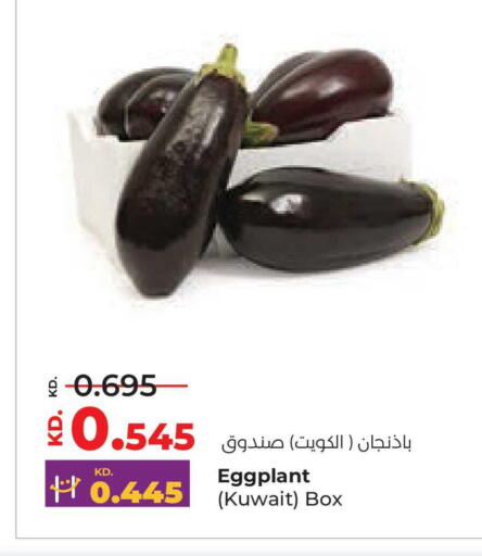 Eggplant from Kuwait available at Lulu Hypermarket  in Kuwait - Jahra Governorate