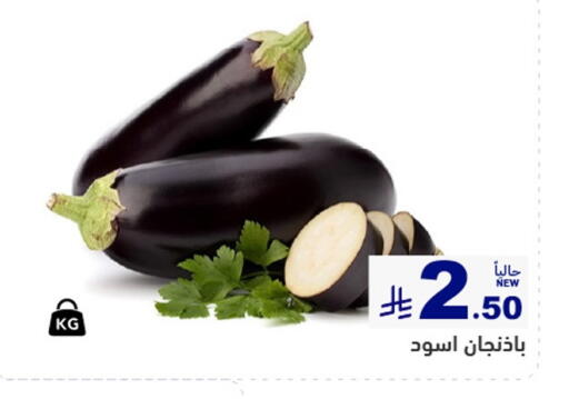 available at أسواق رامز in مملكة العربية السعودية, السعودية, سعودية - القطيف‎