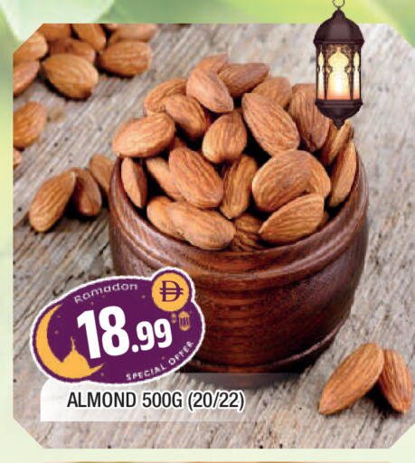 available at المدينة in الإمارات العربية المتحدة , الامارات - الشارقة / عجمان