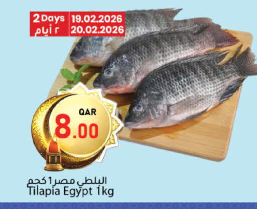 available at دانا ماركت in قطر - الشحانية