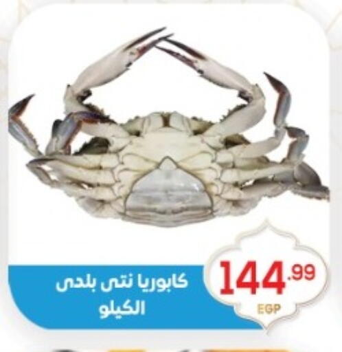 available at أولاد المحاوى in Egypt - القاهرة