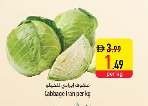 Cabbage from Iran available at السفير ماركت in الإمارات العربية المتحدة , الامارات - دبي