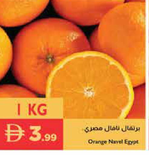 Orange from Egypt available at إسطنبول سوبرماركت in الإمارات العربية المتحدة , الامارات - دبي