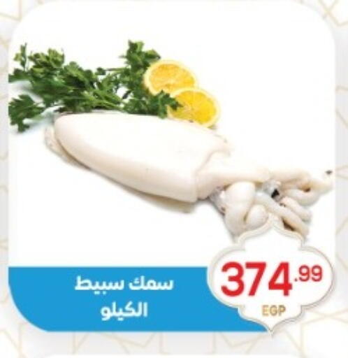 available at أولاد المحاوى in Egypt - القاهرة