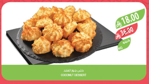 Coconut available at Farm  in KSA, Saudi Arabia, Saudi - Tabuk