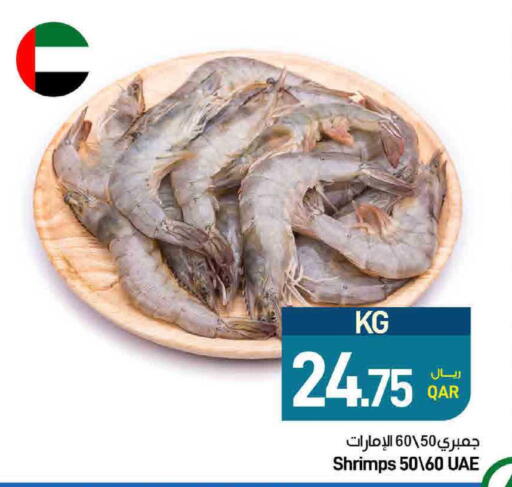 available at ســبــار in قطر - الريان