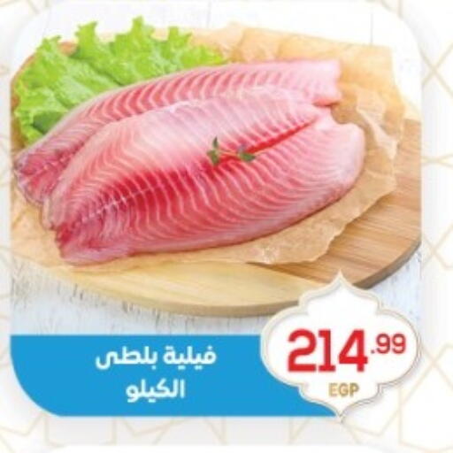 available at أولاد المحاوى in Egypt - القاهرة