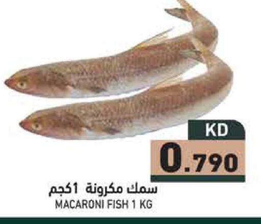 available at Ramez in Kuwait - Jahra Governorate