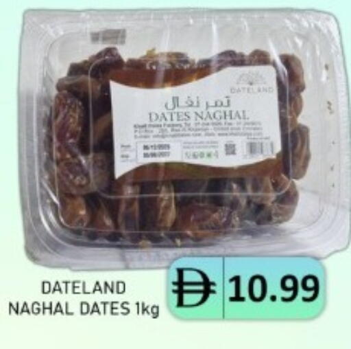 available at متجر الهدايا الخضراء in الإمارات العربية المتحدة , الامارات - أبو ظبي