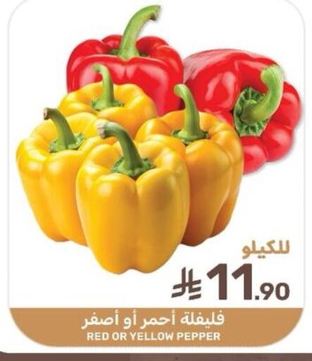 Pepper available at  مـزايــا in مملكة العربية السعودية, السعودية, سعودية - سيهات