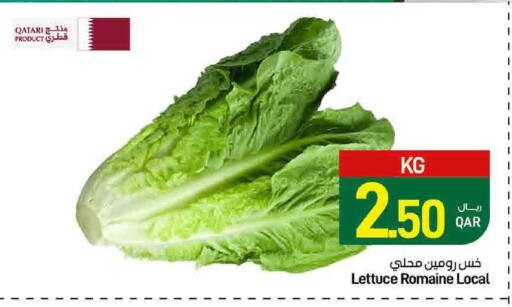 Lettuce from Qatar available at ســبــار in قطر - الريان
