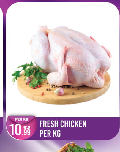 available at دريم لاند in الإمارات العربية المتحدة , الامارات - دبي