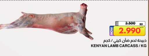 available at مالتي ماركت in البحرين