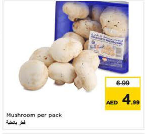 Mushroom available at نستو هايبرماركت in الإمارات العربية المتحدة , الامارات - دبي