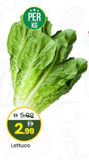 Lettuce available at مارك & سيف in الإمارات العربية المتحدة , الامارات - الشارقة / عجمان