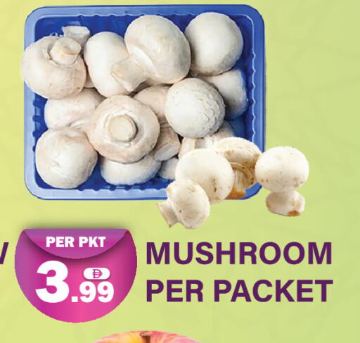 Mushroom available at دريم لاند in الإمارات العربية المتحدة , الامارات - دبي