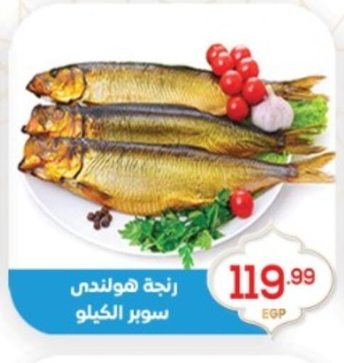 available at أولاد المحاوى in Egypt - القاهرة