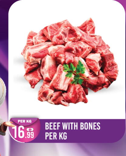 available at دريم لاند in الإمارات العربية المتحدة , الامارات - دبي