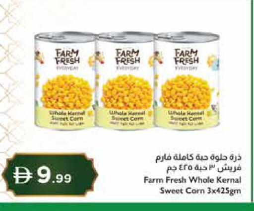 available at إسطنبول سوبرماركت in الإمارات العربية المتحدة , الامارات - دبي